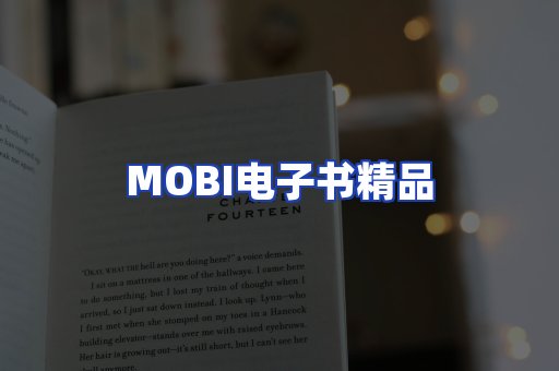 外文电子书产品